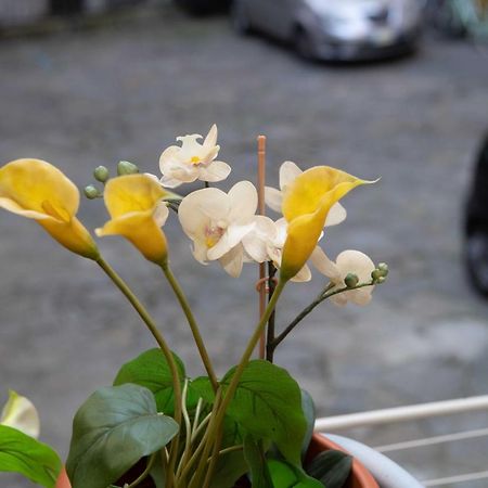 Appartamenti Mazzini ตูริน ภายนอก รูปภาพ