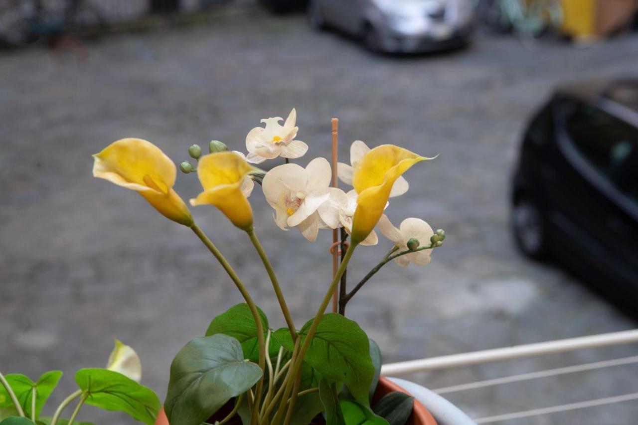 Appartamenti Mazzini ตูริน ภายนอก รูปภาพ